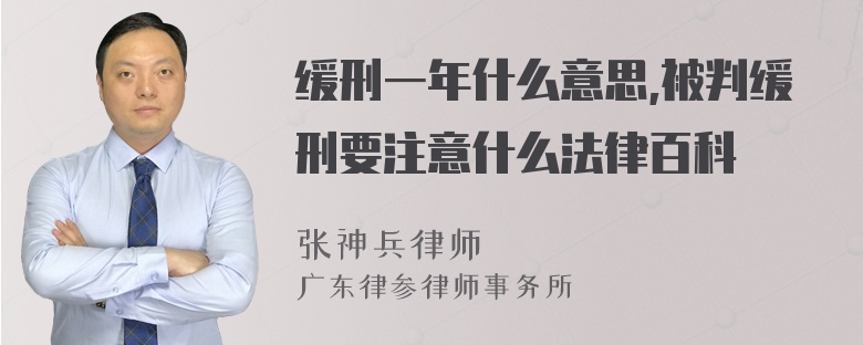 缓刑一年什么意思,被判缓刑要注意什么法律百科