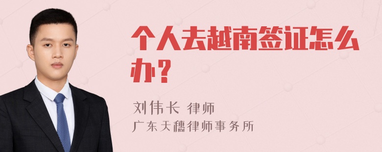 个人去越南签证怎么办？