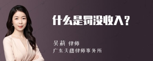 什么是罚没收入？