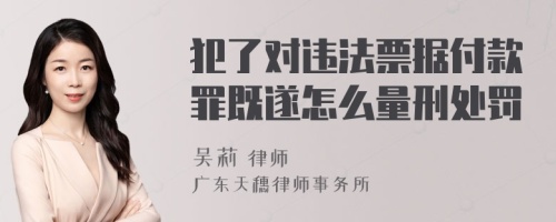 犯了对违法票据付款罪既遂怎么量刑处罚