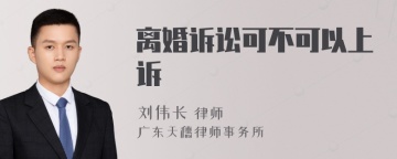 离婚诉讼可不可以上诉