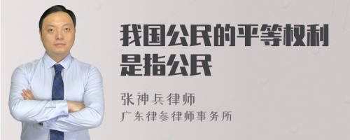 我国公民的平等权利是指公民