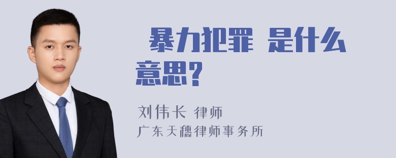  暴力犯罪 是什么意思?