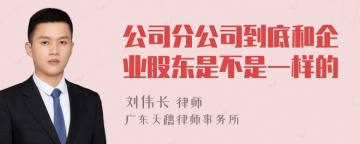 公司分公司到底和企业股东是不是一样的