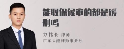 能取保候审的都是缓刑吗