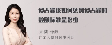 侵占罪该如何惩罚侵占罪的数额标准是多少