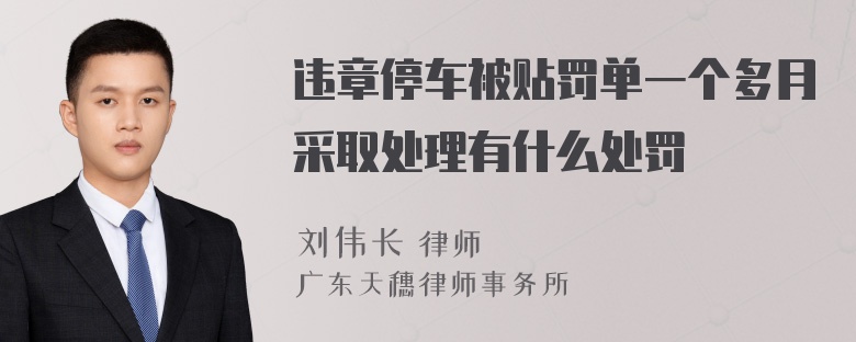 违章停车被贴罚单一个多月采取处理有什么处罚