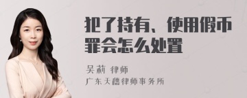 犯了持有、使用假币罪会怎么处置