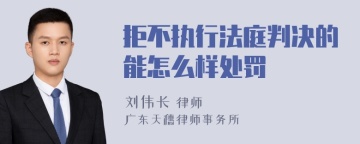 拒不执行法庭判决的能怎么样处罚