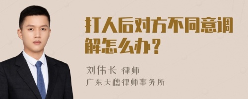 打人后对方不同意调解怎么办？