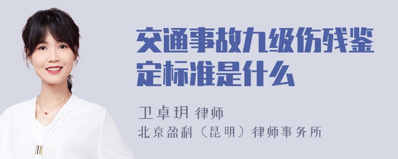 交通事故九级伤残鉴定标准是什么