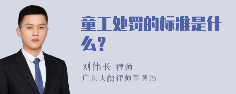 童工处罚的标准是什么？