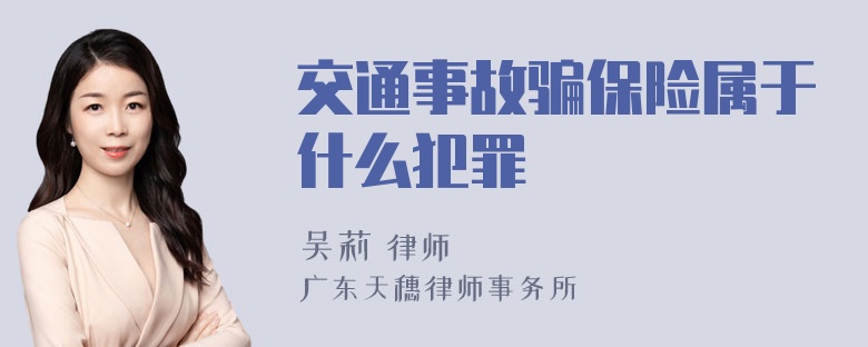 交通事故骗保险属于什么犯罪