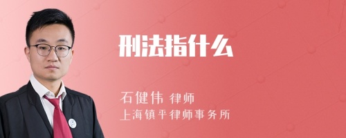 刑法指什么