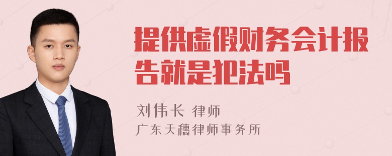 提供虚假财务会计报告就是犯法吗