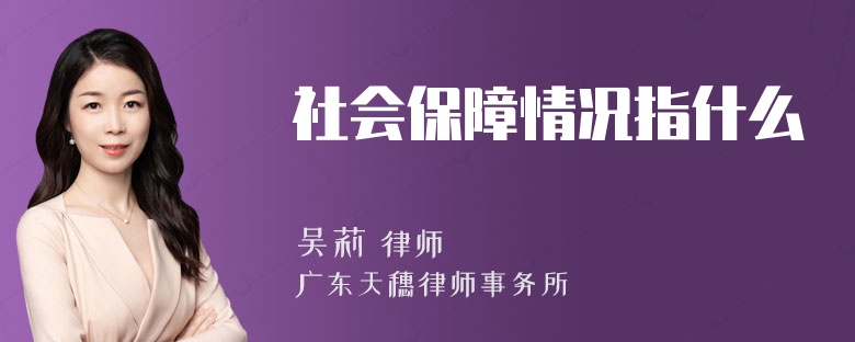 社会保障情况指什么