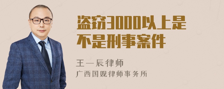 盗窃3000以上是不是刑事案件