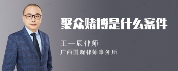 聚众赌博是什么案件