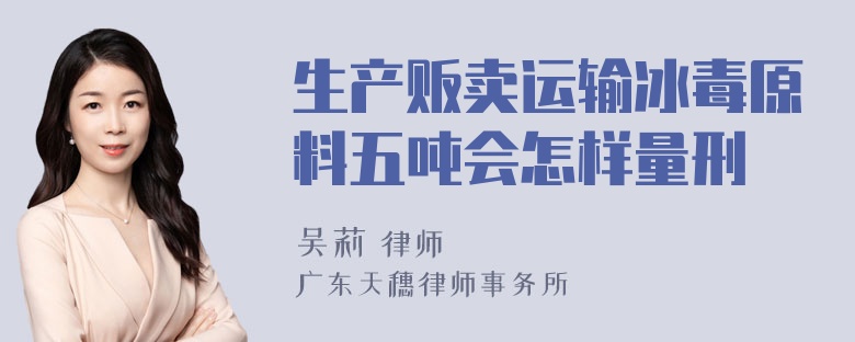 生产贩卖运输冰毒原料五吨会怎样量刑