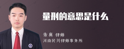 量刑的意思是什么