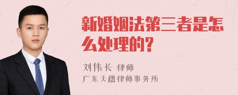 新婚姻法第三者是怎么处理的?