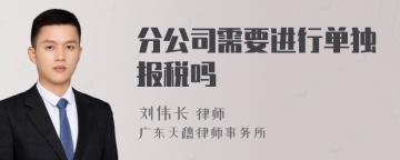 分公司需要进行单独报税吗