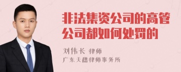 非法集资公司的高管公司都如何处罚的