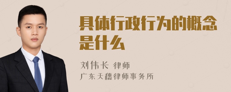 具体行政行为的概念是什么