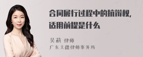 合同履行过程中的抗辩权,适用前提是什么