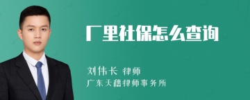 厂里社保怎么查询