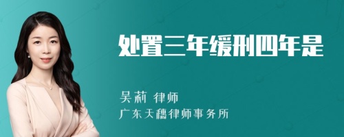 处置三年缓刑四年是