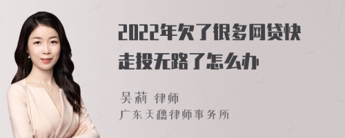 2022年欠了很多网贷快走投无路了怎么办