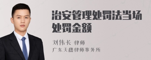 治安管理处罚法当场处罚金额