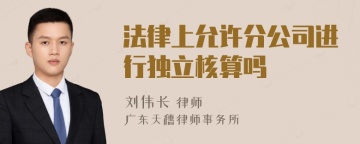 法律上允许分公司进行独立核算吗