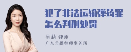 犯了非法运输弹药罪怎么判刑处罚