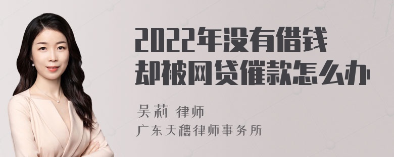 2022年没有借钱却被网贷催款怎么办