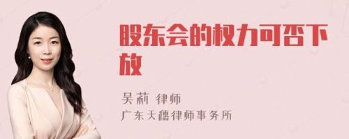 股东会的权力可否下放