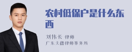 农村低保户是什么东西