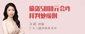 偷盗5000元会咋样判处缓刑