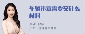 车辆违章需要交什么材料