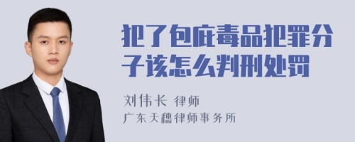 犯了包庇毒品犯罪分子该怎么判刑处罚