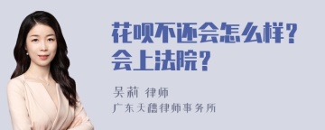 花呗不还会怎么样？会上法院？