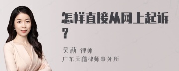 怎样直接从网上起诉？