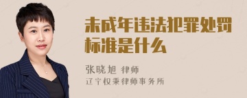 未成年违法犯罪处罚标准是什么