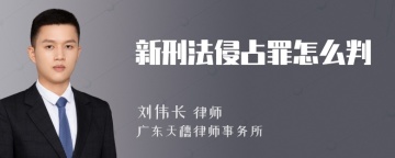 新刑法侵占罪怎么判