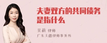 夫妻双方的共同债务是指什么