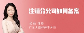 注销分公司如何备案