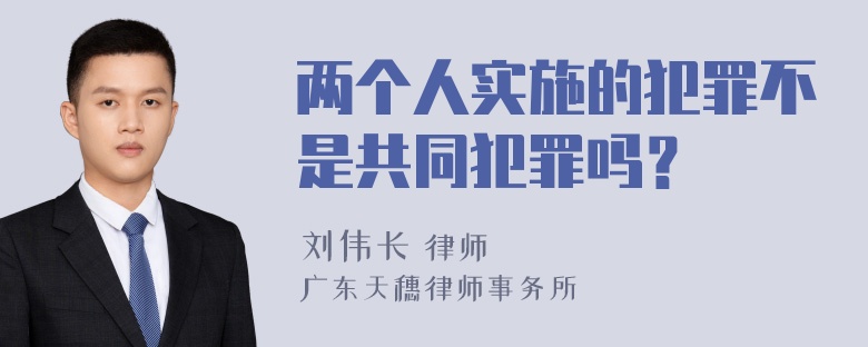 两个人实施的犯罪不是共同犯罪吗？