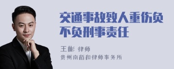 交通事故致人重伤负不负刑事责任