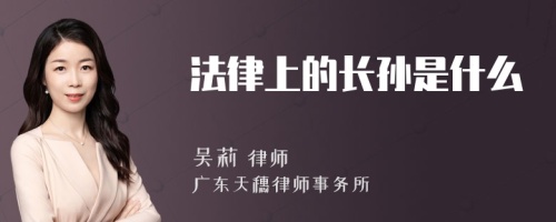 法律上的长孙是什么